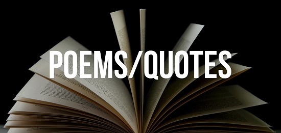 blog articles banner